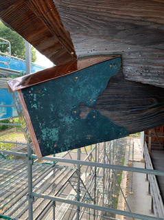 IMG_1419.jpeg