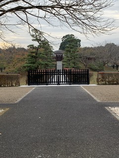 IMG_2212.jpeg