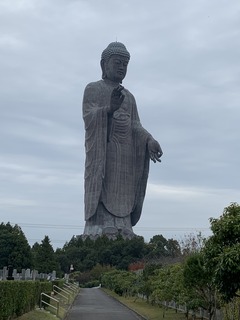 IMG_2221.jpeg