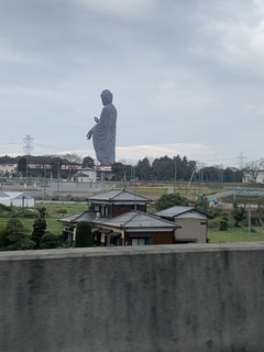 IMG_2224.jpeg