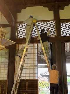 IMG_2231.jpeg