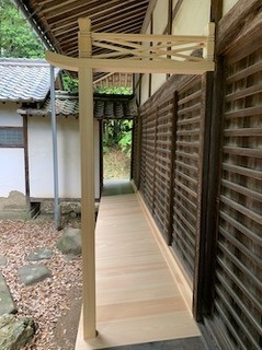 IMG_2237.jpeg