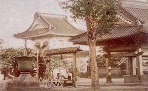 IMG_3168.jpeg