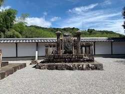 IMG_4845.jpeg