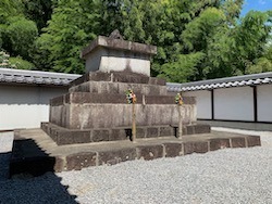 IMG_4850.jpeg