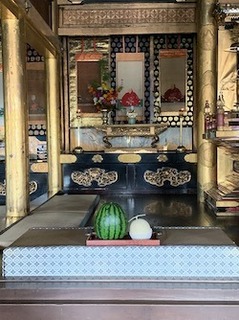 IMG_4876.jpeg