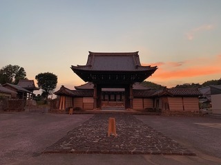IMG_5001.jpeg